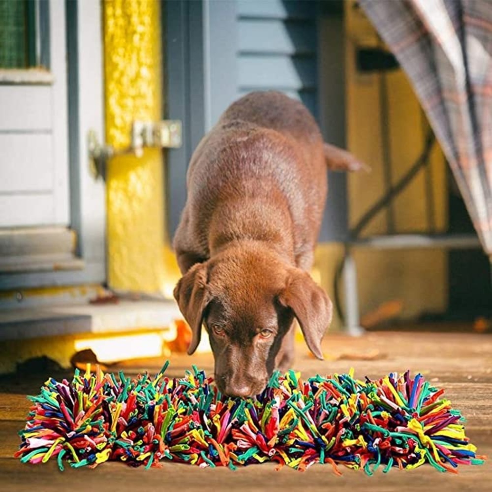 NWT New Snuffle Mat Pet Activity/Nosework/feeding mat 19*19" in Rainbow